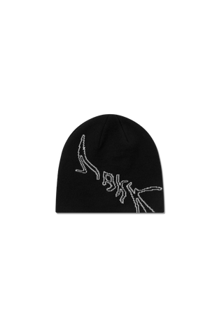 ARKK Accessories ARKK Graphic Beanie | Black Beanie