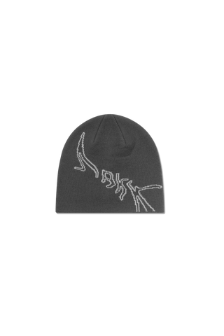 ARKK Accessories ARKK Graphic Beanie | Dark Grey Beanie