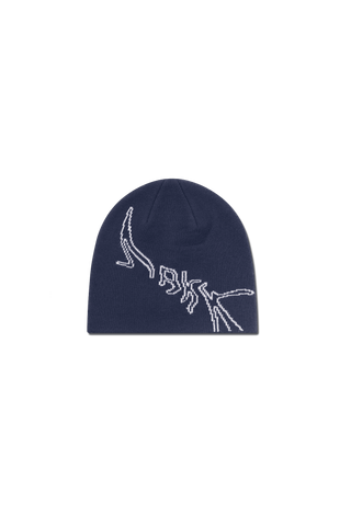 ARKK Accessories ARKK Graphic Beanie | Navy Beanie