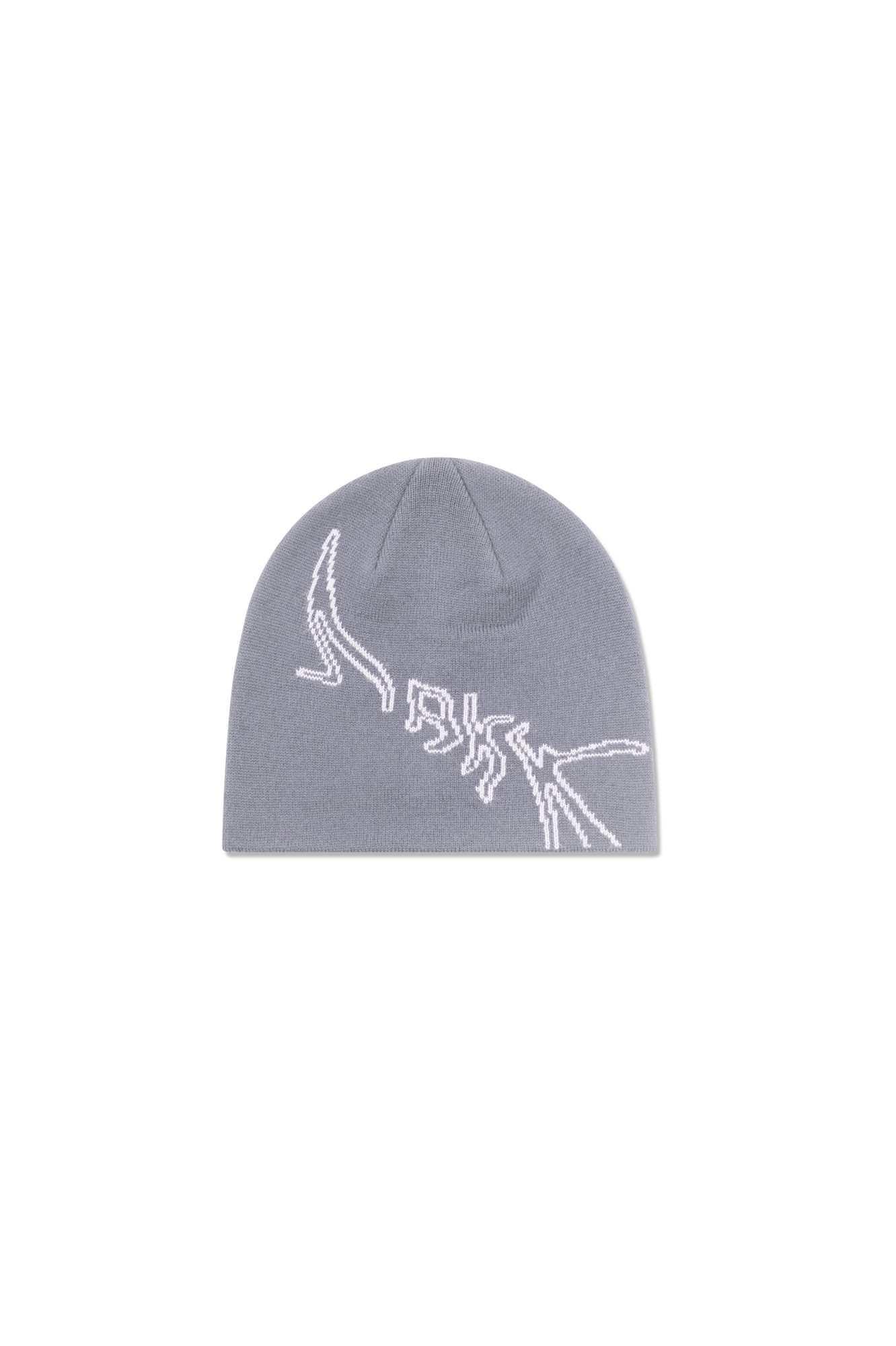 ARKK Accessories ARKK Graphic Beanie | Stone Beanie