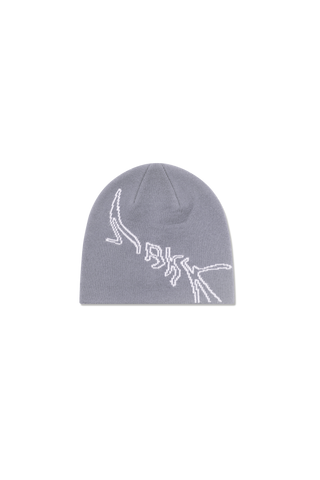 ARKK Accessories ARKK Graphic Beanie | Stone Beanie